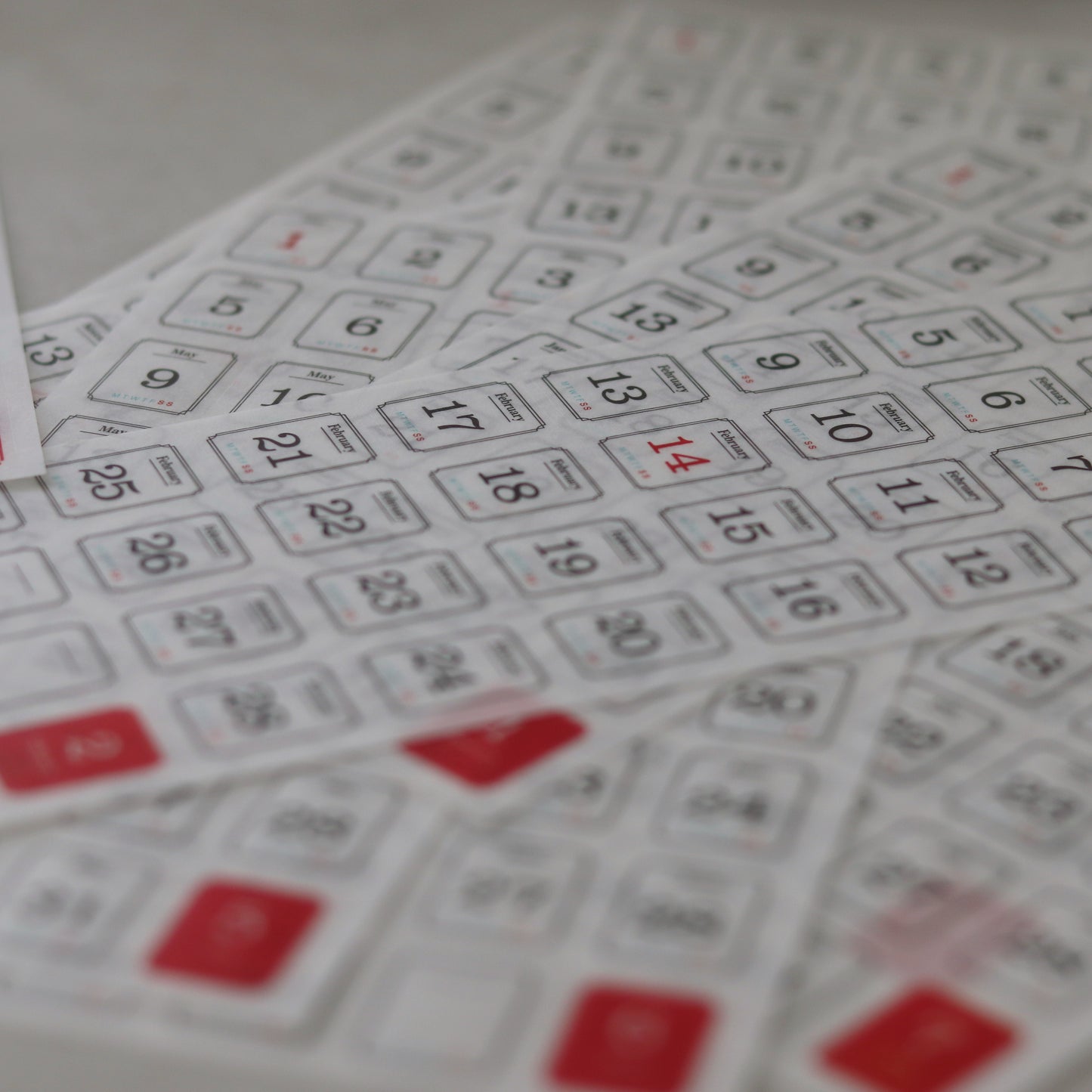 365 Days Date Stickers Set - Semi-Transparent Washi Planner Stickers | 12 Sheets