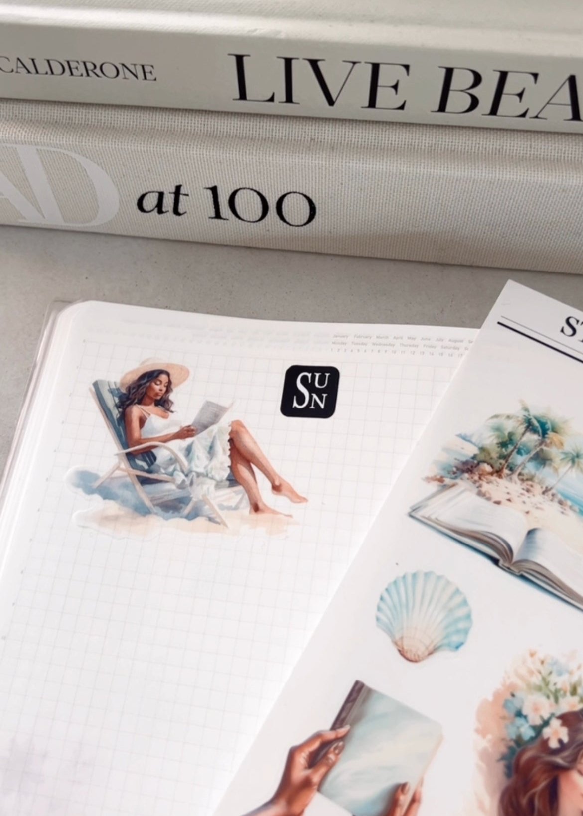 Beach Read Journaling Sticker Kit | Set of 4 Sticker Sheets