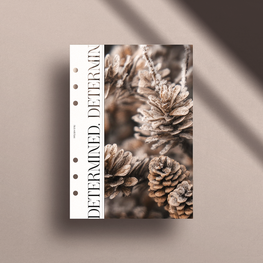 Determined Dashboard