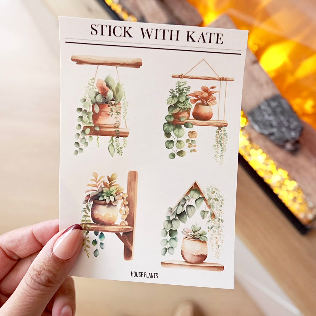 Houseplants – 2pc set