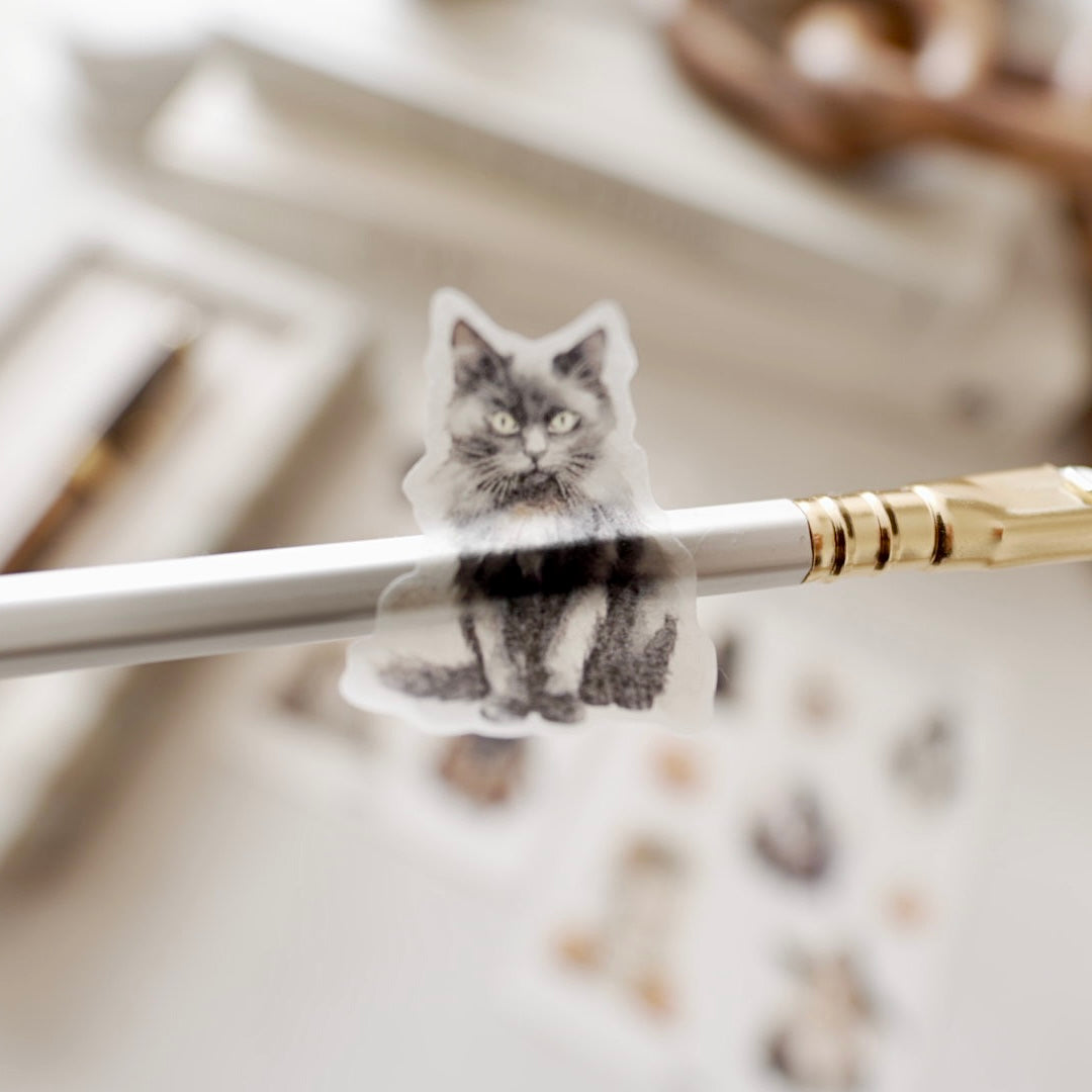 Midnight sticker set | 2pc set